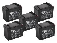 Комплект тяговых гелевых аккумуляторов RuTrike 6-EVF-45 (60V45A/H C3)