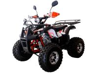 Квадроцикл WELS THUNDER EVO LUX X 125 (бензиновый 125 куб. см.)
