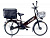 Электровелосипед Green City e-ALFA GL с термобоксом