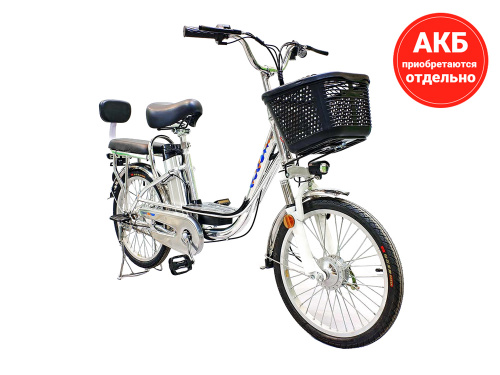 Электровелосипед GreenCamel Транк-20 V2 (R20) [без АКБ]