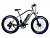Электрофэтбайк El-sport bike TDE-08 500W