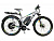 Электровелосипед Horza Stels Adrenalin D-1500 Travel