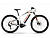 Электровелосипед Haibike SDURO FullNine 5.0 (2020)