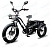 Электровеклосипед Minako Trike (48V 13Ah 500W)