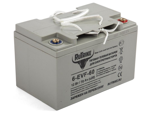 Тяговый гелевый аккумулятор RuTrike 6-EVF-60 (12V60A/H C3)